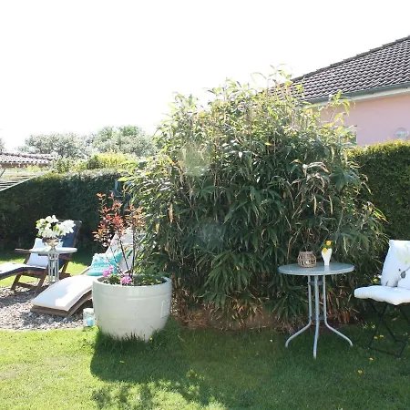 Flat In Pepelow, Salzhaff, Near The Pepelow