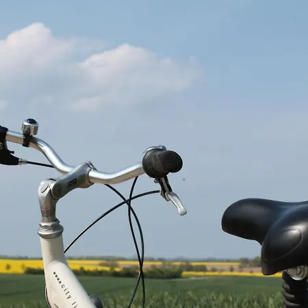 Daire Salzhaff Family Retreat Pepelow