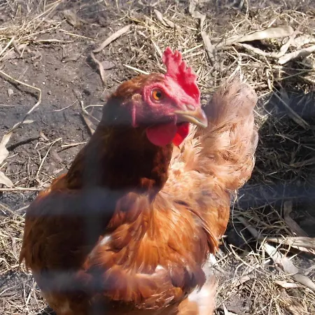 Salzhaff Family Retreat *